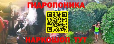 тгк Ливны