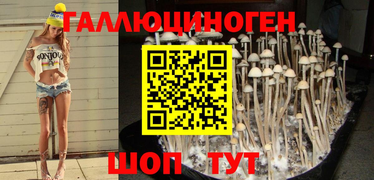 Будённовск  Галлюциногенные грибы Magic Shrooms  Вход с VPN  Галлюциногенные грибы Cubensis 