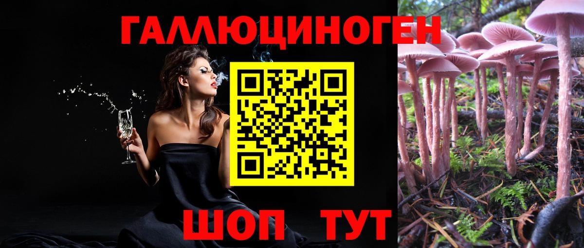 Псилоцибиновые грибы мухоморы Будённовск